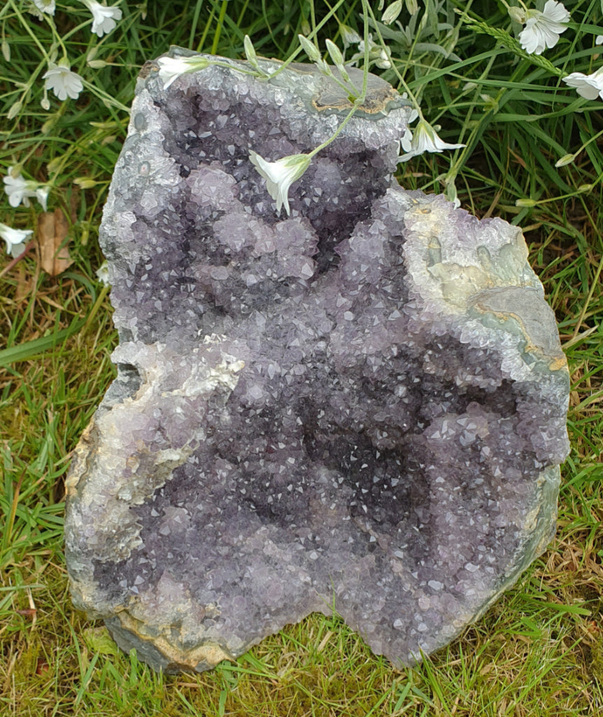 Standing Amethyst Crystal Cluster (Large)