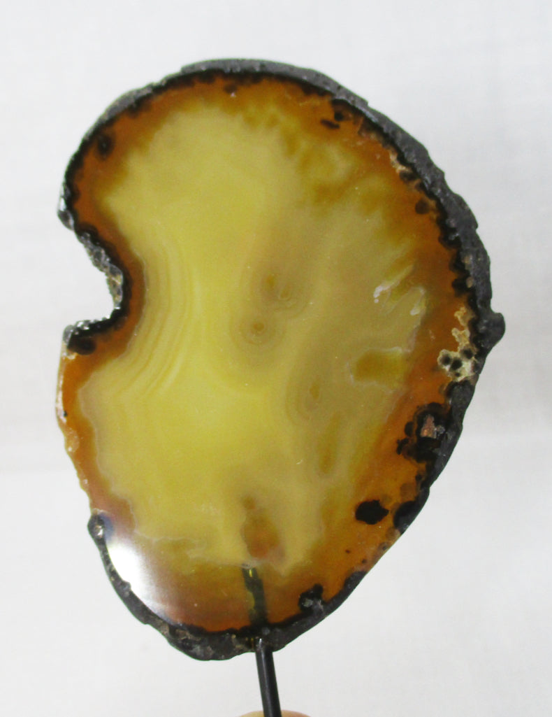 Natural Agate Standing Slice