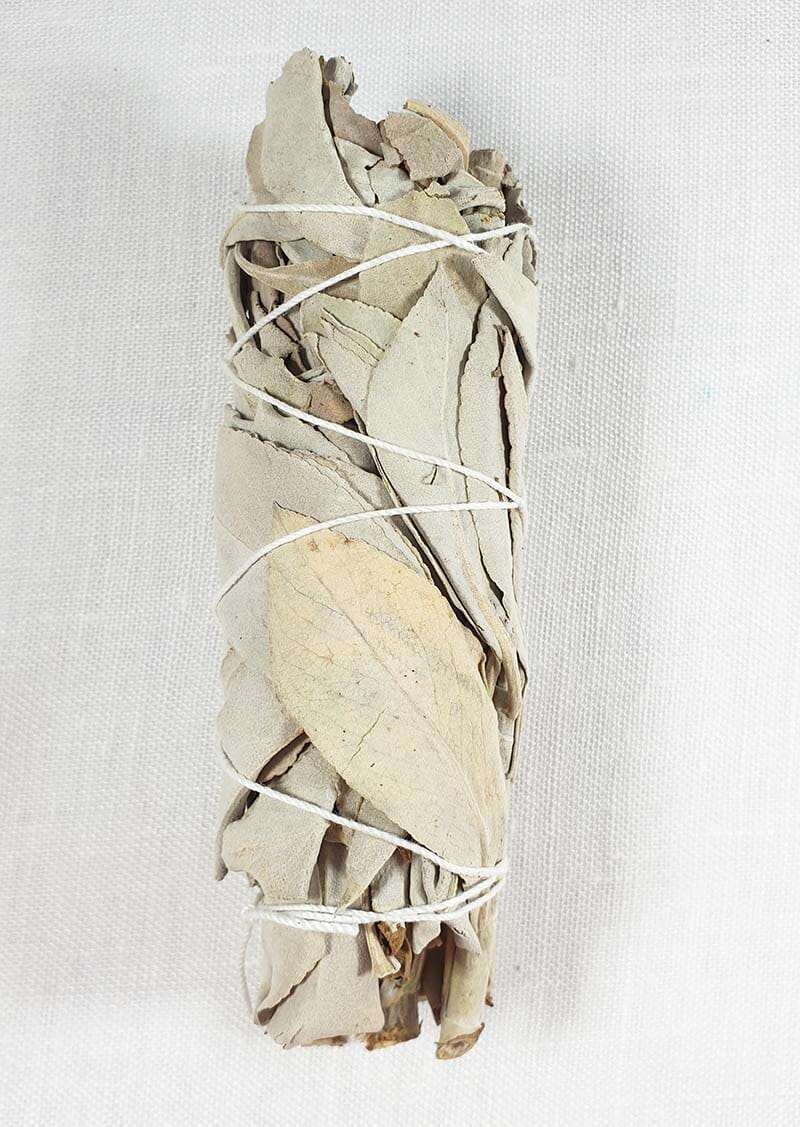 California White Sage Smudge Sticks - Others > Gift Boxes & Pouches